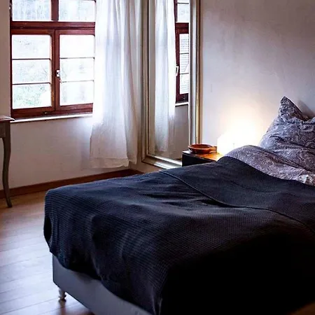 Schloss Muehlen Διαμέρισμα Horb am Neckar