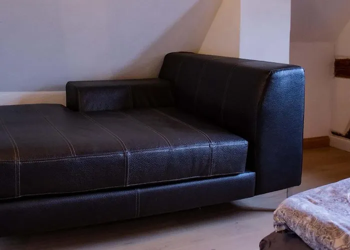 公寓 Schloss Muehlen 内卡河畔霍尔布