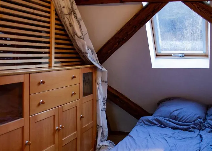 Schloss Muehlen 公寓 内卡河畔霍尔布