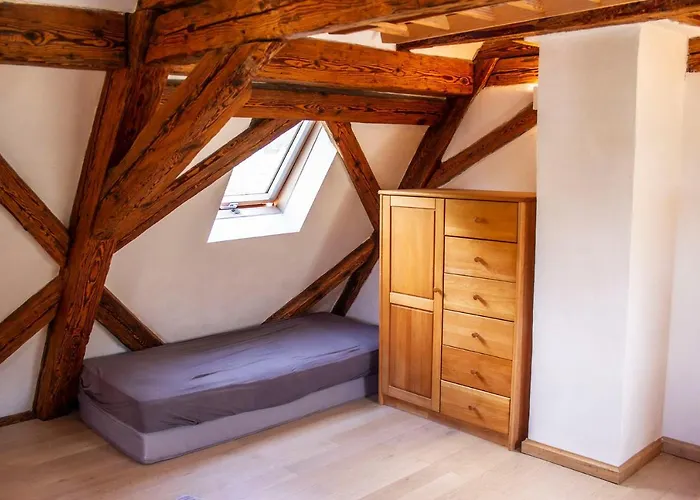 Schloss Muehlen 内卡河畔霍尔布