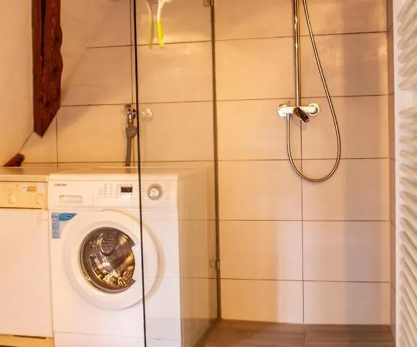 Schloss Muehlen 内卡河畔霍尔布