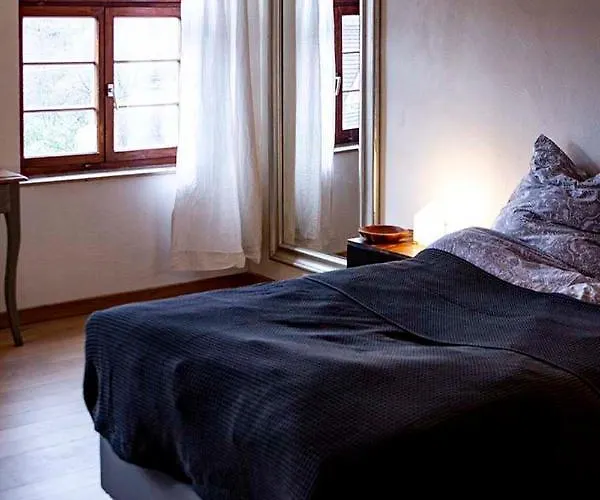 Schloss Muehlen 公寓 内卡河畔霍尔布